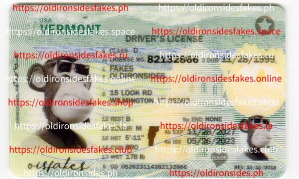 Comparing Materials: Real ID vs. Premium Fake IDs