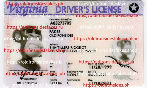 Best Practices for Taking Photos for Fake ID Orders